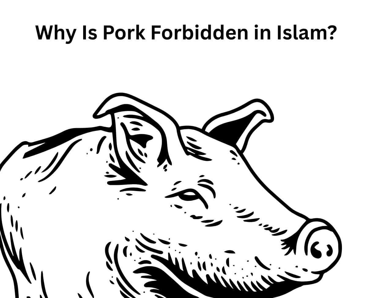 What Is the Punishment for Eating Pork in Islam? Why Is Pork Forbidden in Islam?